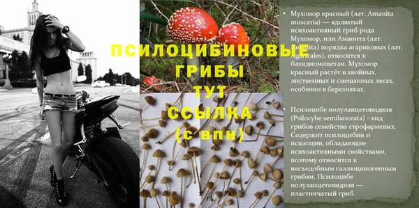 хмурый Белоозёрский